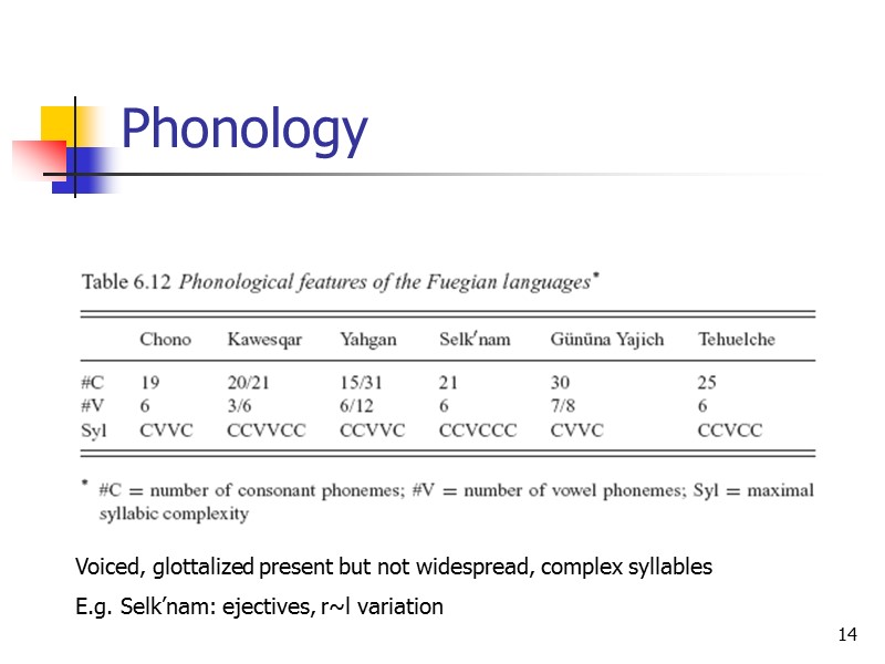 14 Phonology Voiced, glottalized present but not widespread, complex syllables E.g. Selk’nam: ejectives, r~l